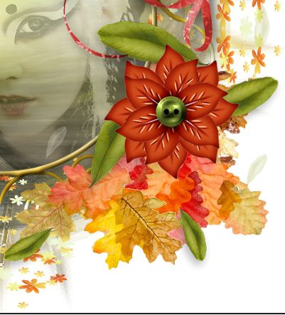 voorbeeld 3